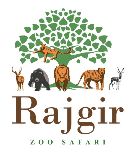 Zoo_Safari_logo_copy-removebg-preview